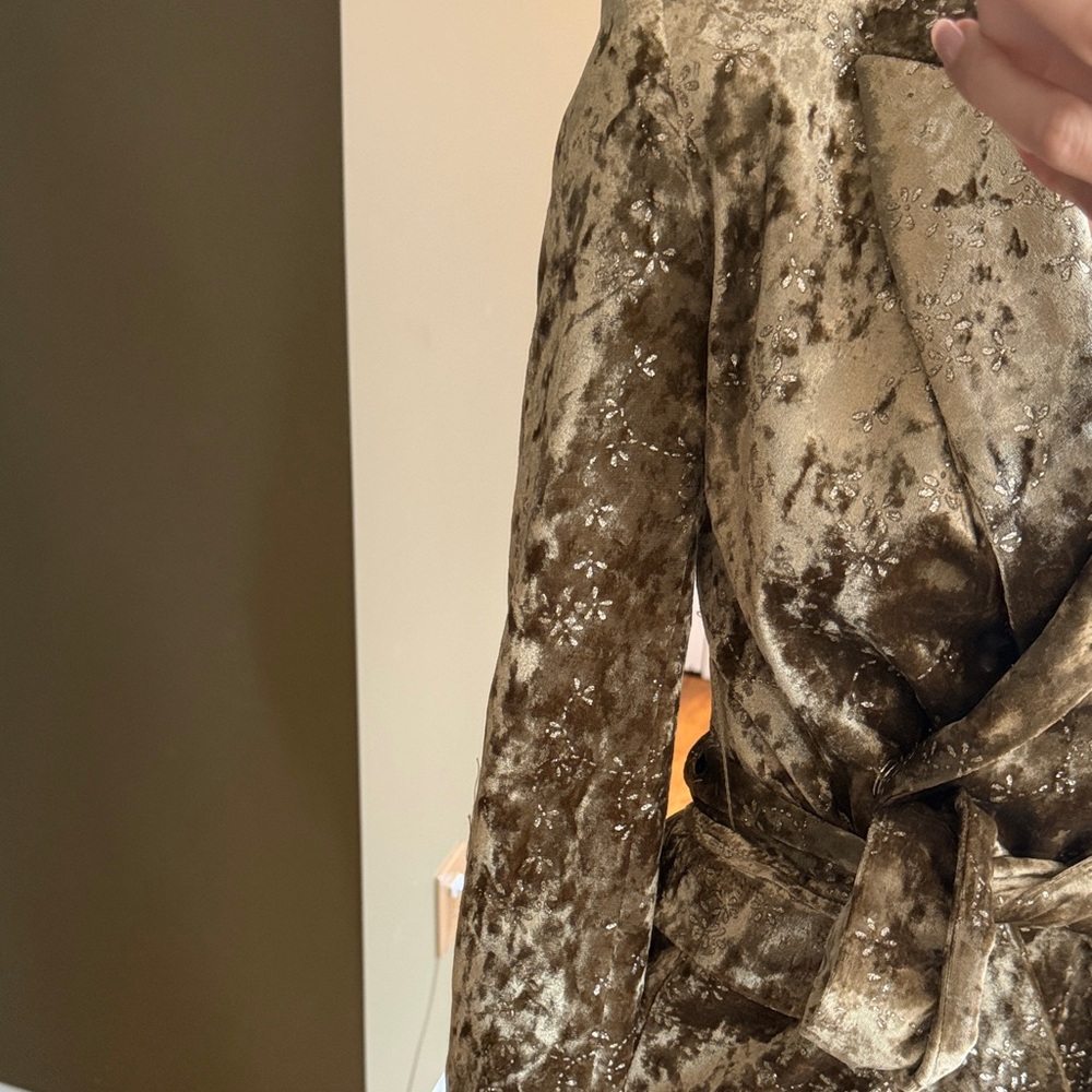 BNWT Full Set Zara Velvet Blazer and Balloon Pant (Size XS) - Picture 2 of 5